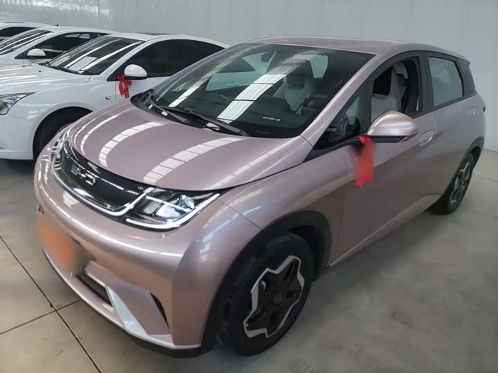 Фото 1 - BYD Dolphin