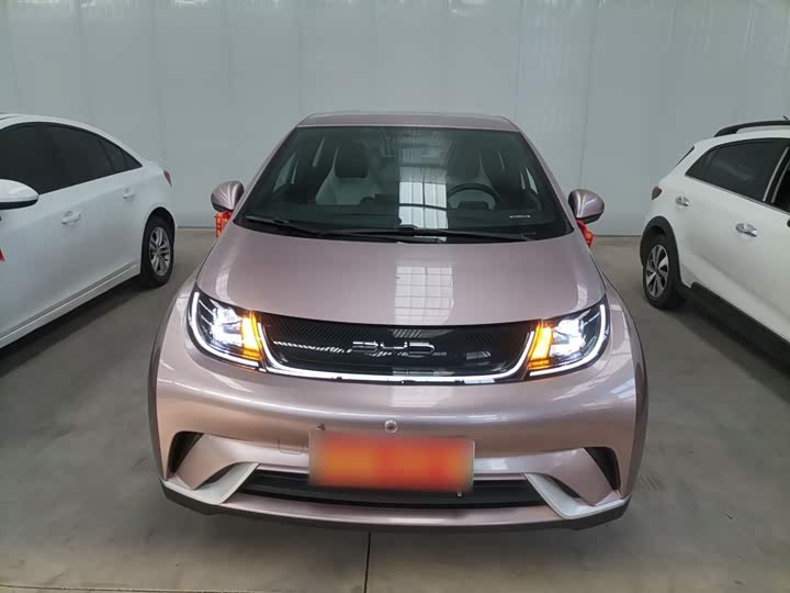 Фото 3 - BYD Dolphin