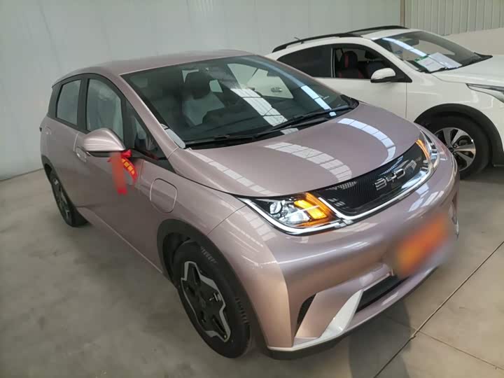 Фото 4 - BYD Dolphin