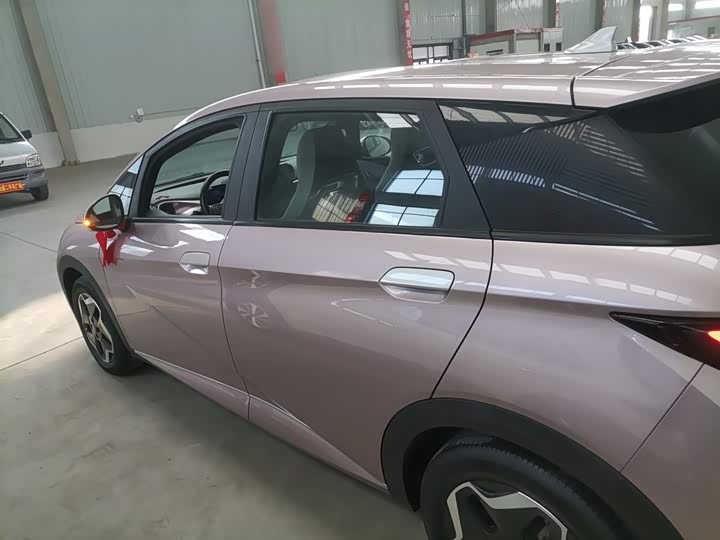 Фото 5 - BYD Dolphin