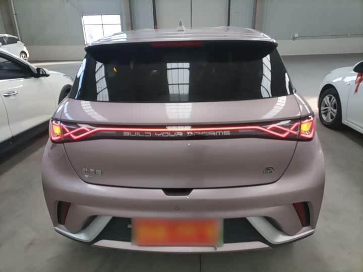 Фото 6 - BYD Dolphin