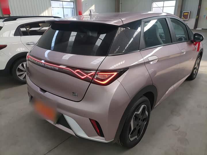 Фото 7 - BYD Dolphin