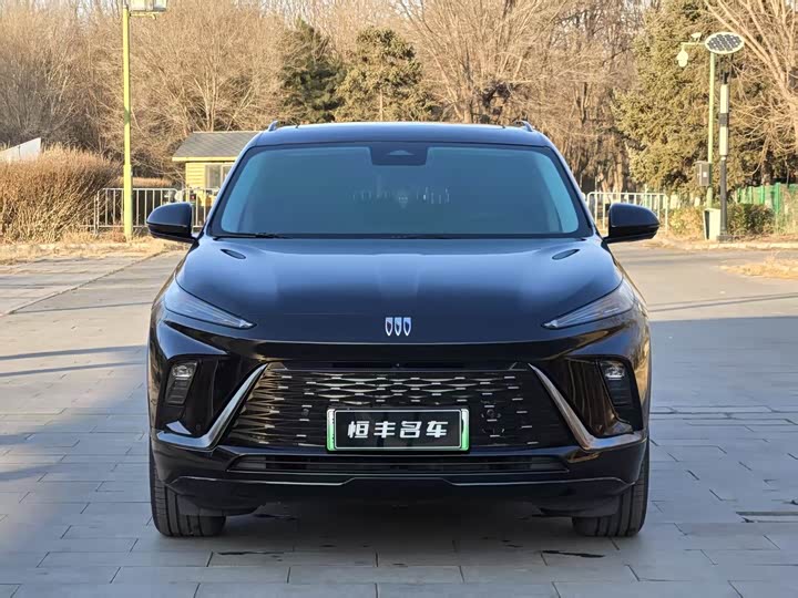 Фото 2 - Buick Electra E5