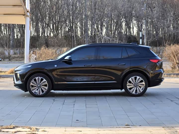 Фото 3 - Buick Electra E5