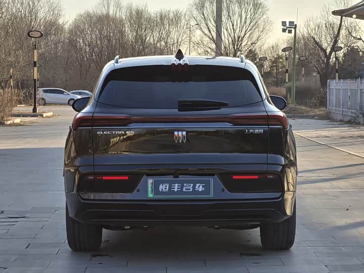 Фото 4 - Buick Electra E5