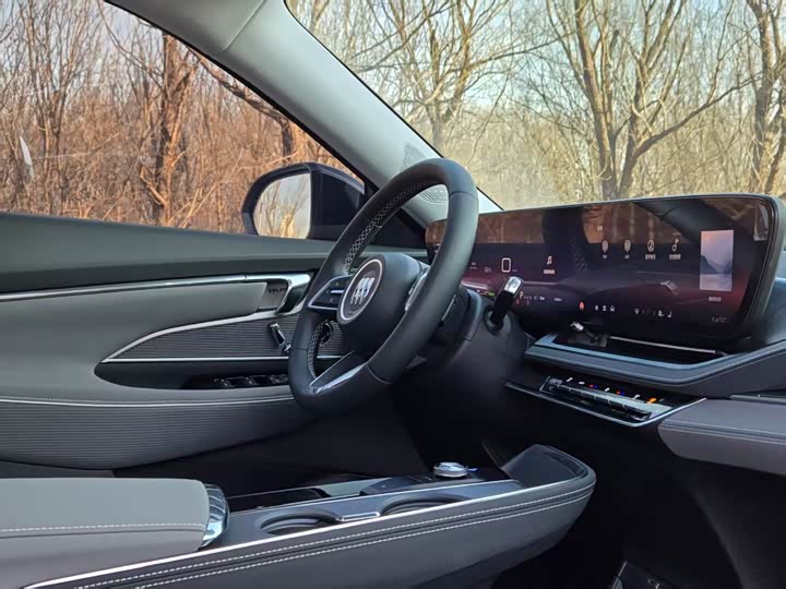 Фото 6 - Buick Electra E5