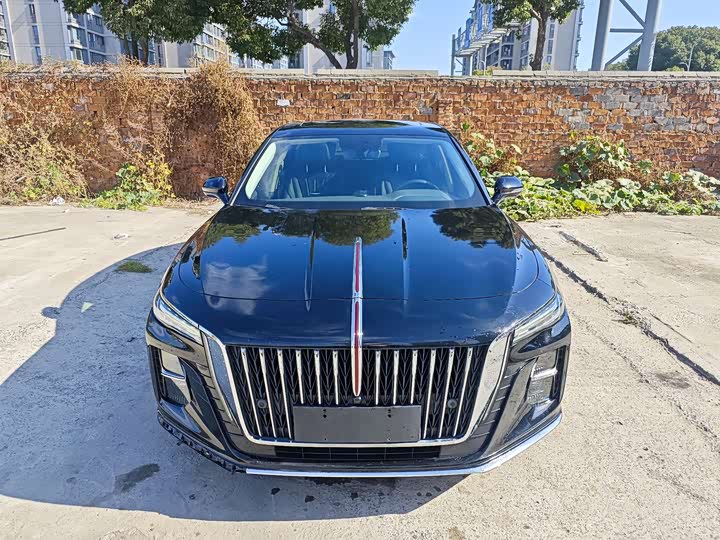 Фото 2 - Hongqi H5