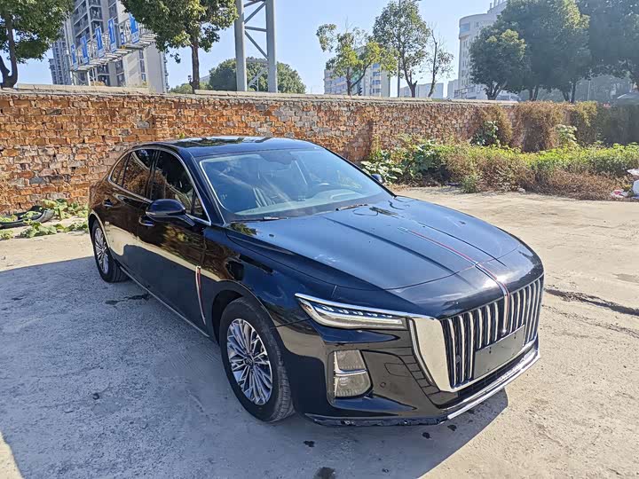 Фото 3 - Hongqi H5