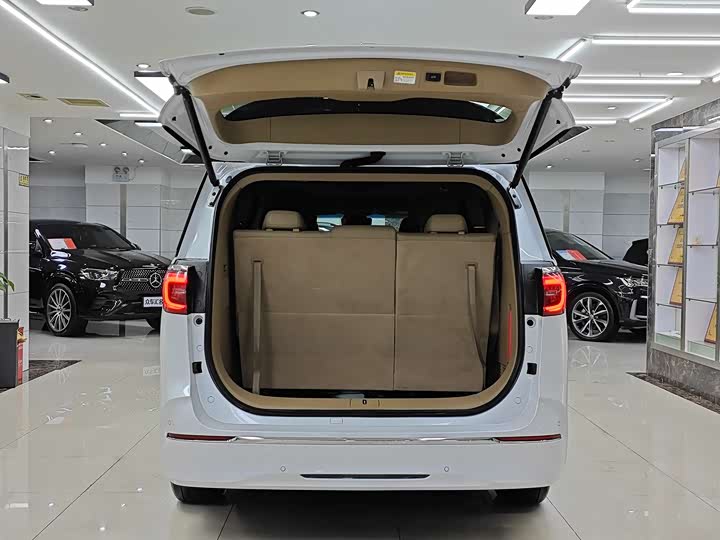 Фото 7 - Buick GL8 ES