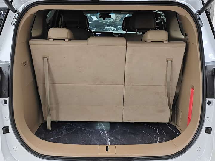 Фото 8 - Buick GL8 ES