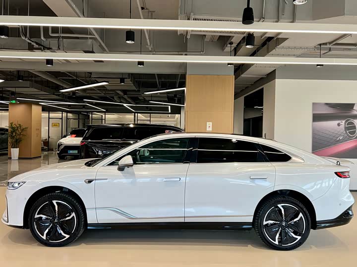 Фото 7 - Voyah Passion