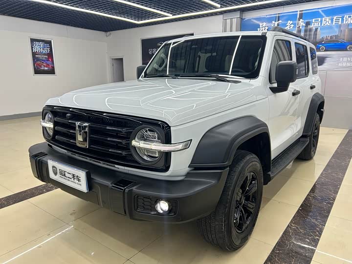 Фото 1 - Tank 300