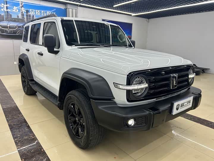 Фото 3 - Tank 300