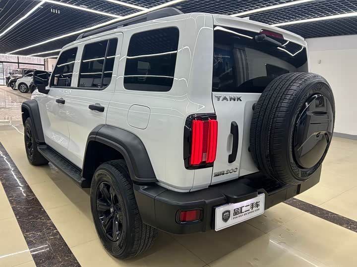 Фото 5 - Tank 300