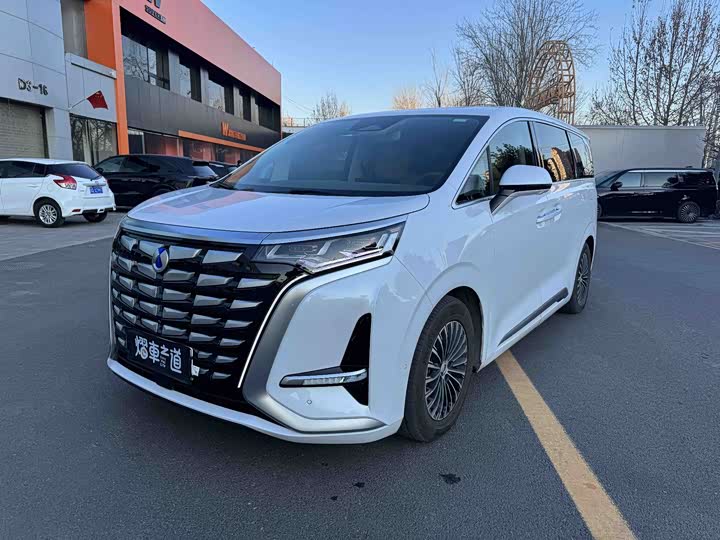 Фото 1 - Denza D9