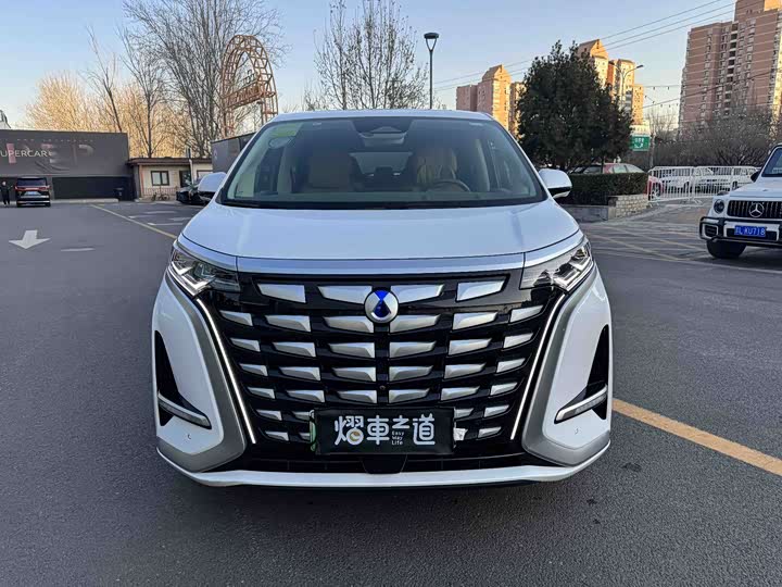 Фото 2 - Denza D9