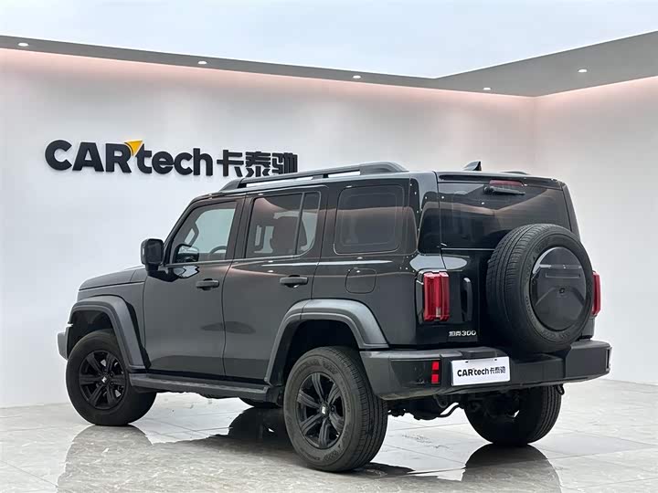 Фото 3 - Tank 300