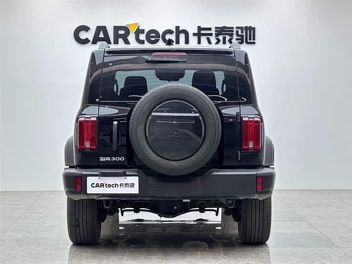 Фото 4 - Tank 300