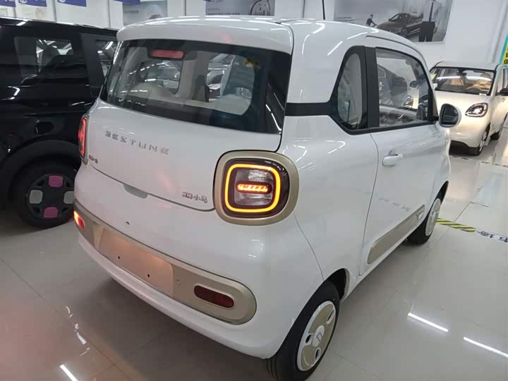 Фото 7 - Bestune Pony