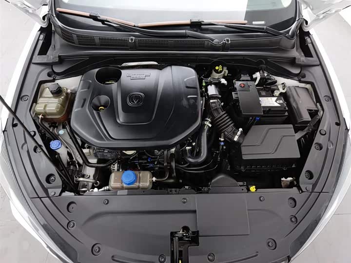 Фото 6 - Changan Eado Plus