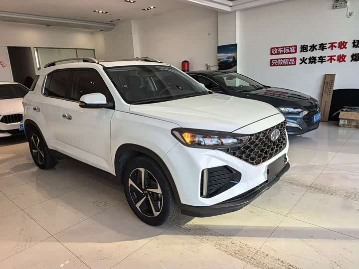 Фото 3 - Hyundai ix35 (Mufasa)