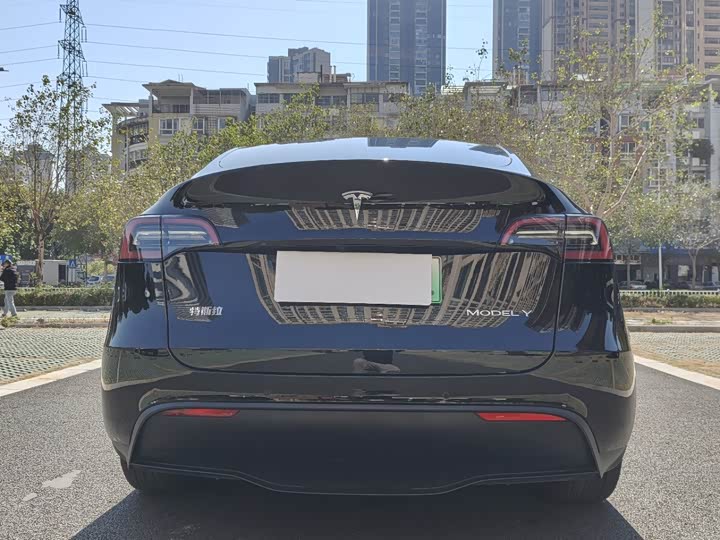 Фото 8 - Tesla Model Y