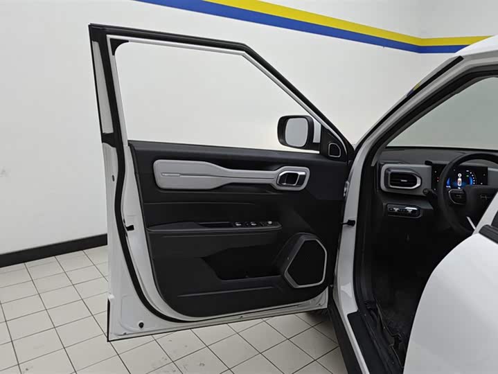 Фото 7 - Geely Icon