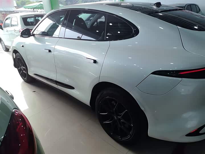 Фото 5 - IM motors LS6