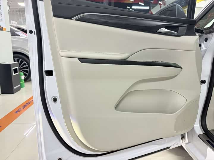 Фото 7 - Buick GL8 ES