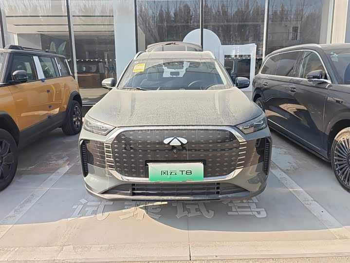 Фото 2 - Chery Fulwin T8