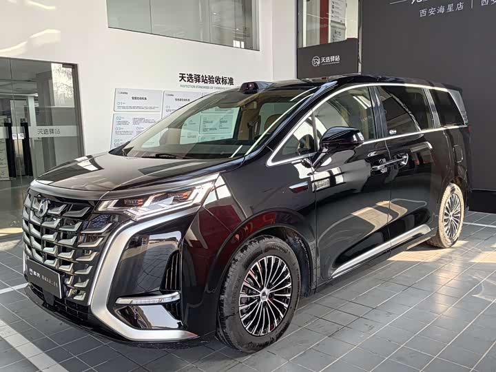 Фото 1 - Denza D9