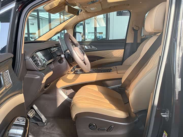 Фото 4 - Denza D9