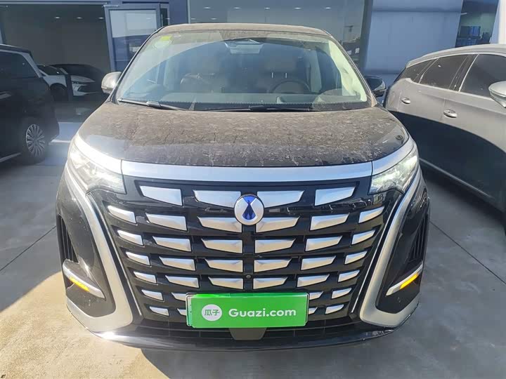 Фото 3 - Denza D9