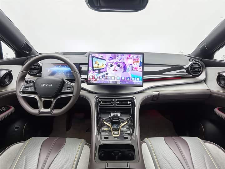 Фото 5 - BYD Frigate 07