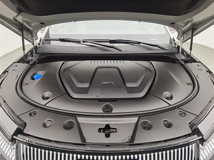 Фото 6 - BYD Frigate 07