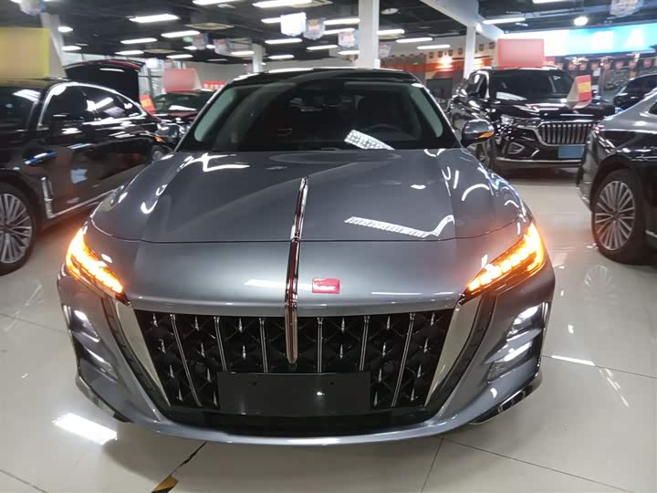 Фото 3 - Hongqi H5