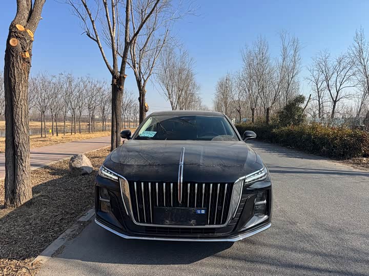 Фото 2 - Hongqi H5