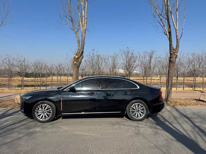 Фото 3 - Hongqi H5