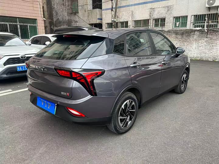 Фото 7 - Hozon V