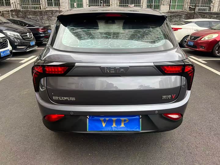 Фото 8 - Hozon V