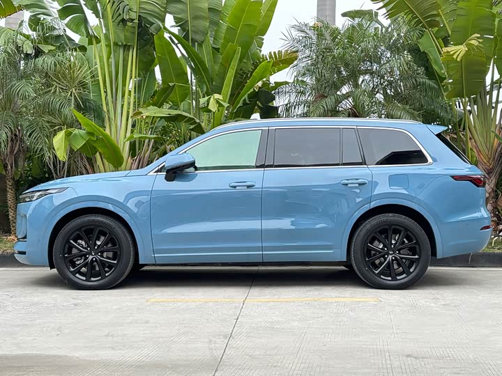 Фото 3 - LiXiang One