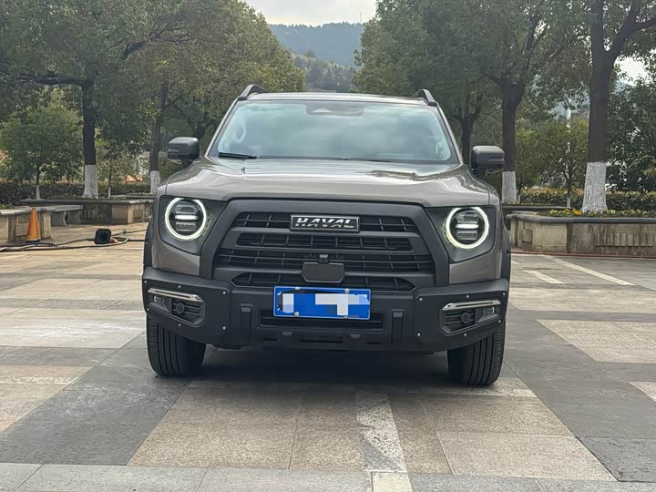 Фото 2 - Haval Dargo