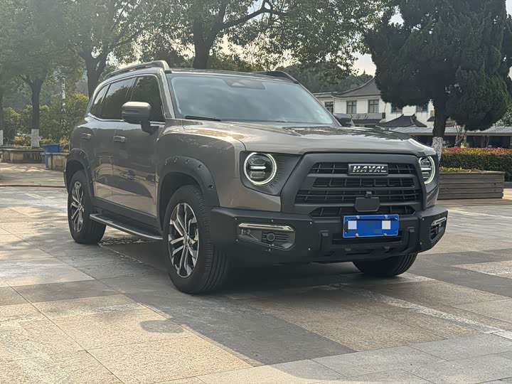 Фото 3 - Haval Dargo