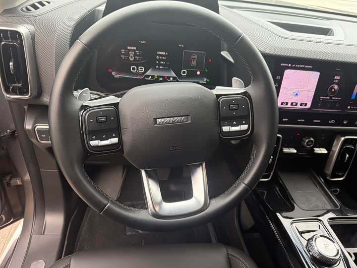 Фото 8 - Haval Dargo