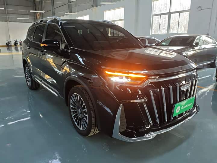 Фото 4 - Geely Okavango L