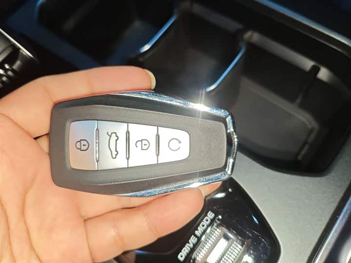 Фото 9 - Geely Okavango L