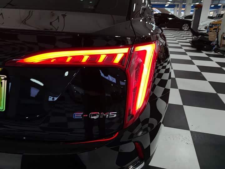 Фото 8 - Hongqi E-QM5