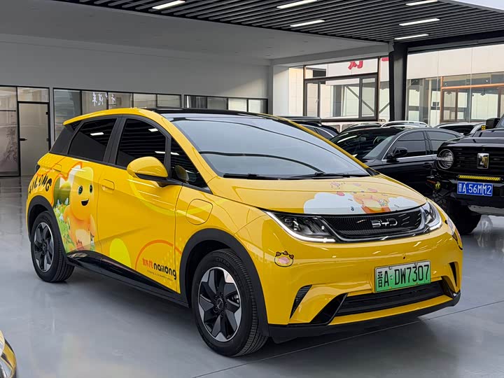 Фото 2 - BYD Dolphin