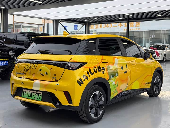 Фото 3 - BYD Dolphin