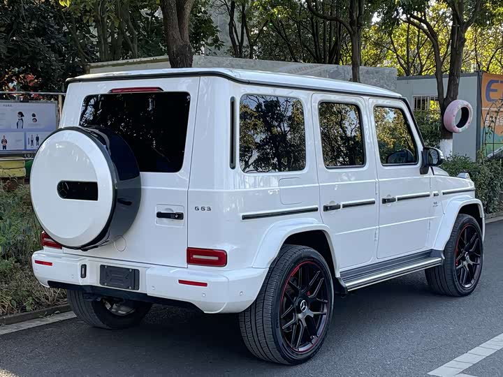 Фото 6 - Mercedes-Benz G-Class